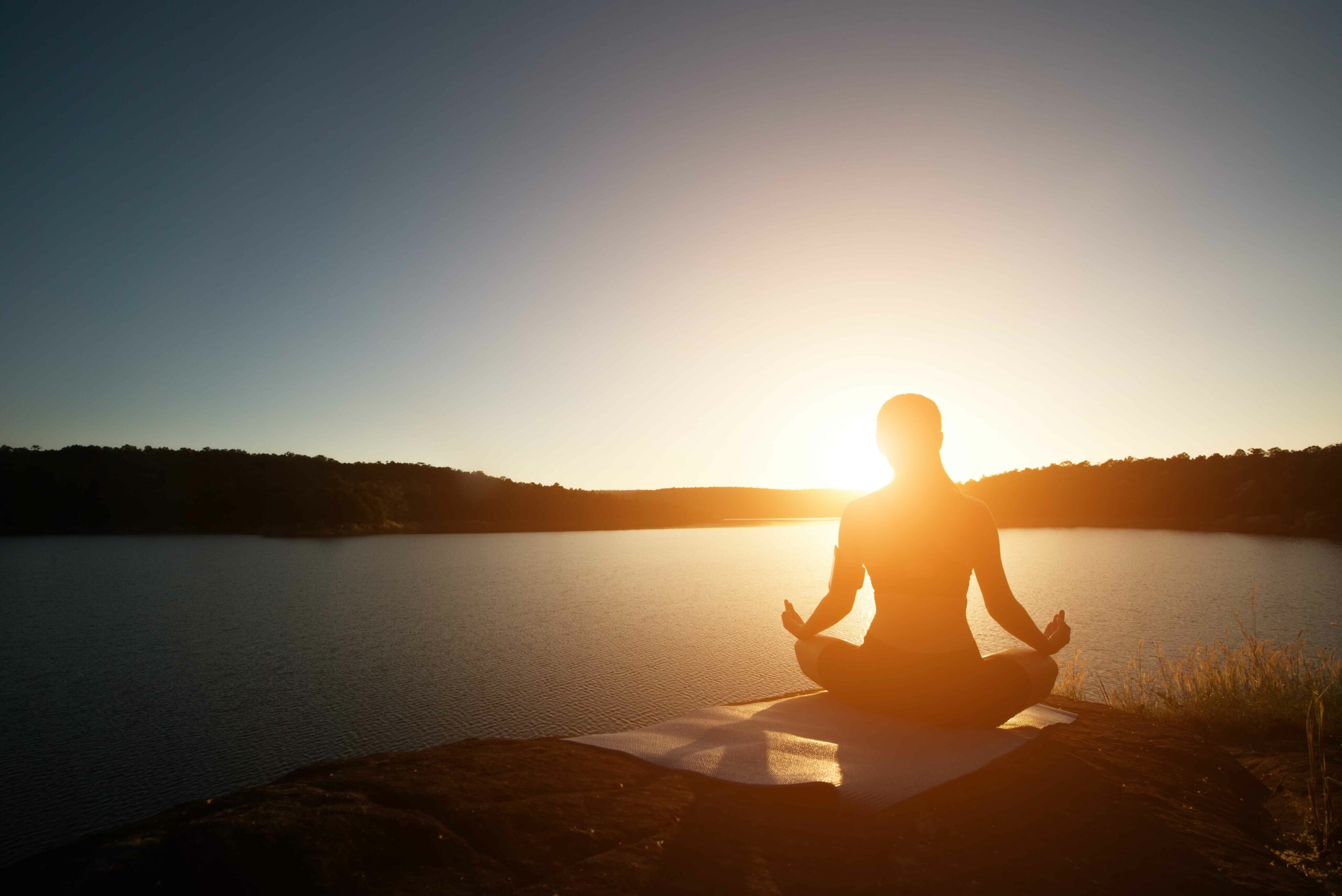 The Science of Meditation: How Meditation Can Change Your Brain and Your Life